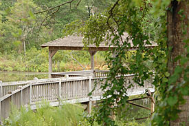 Oyster Harbour Noth Carolina Homes, Real Estate and homesites